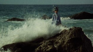 海的女儿 photo