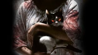 猫：看见死亡的双眼 photo