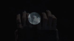 月光光心慌慌：终结 photo
