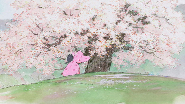 辉夜姬物语 photo
