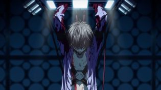 Code Geass 复活的鲁路修 photo