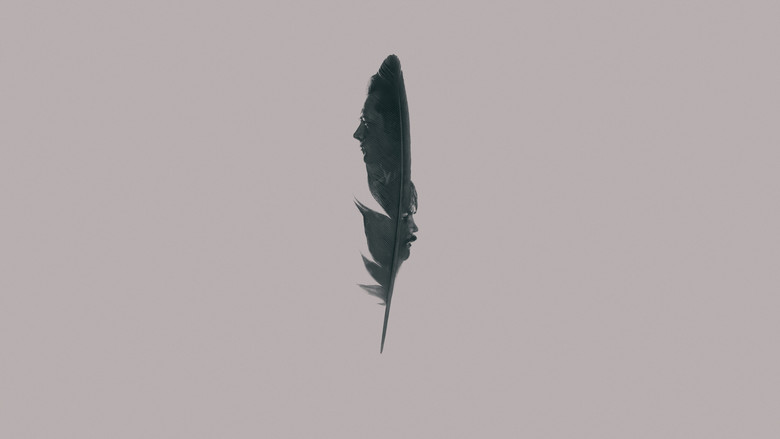Black Bird photo