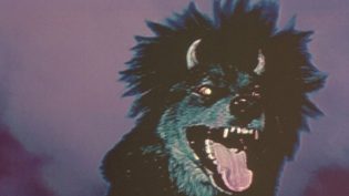 恶魔之犬 photo