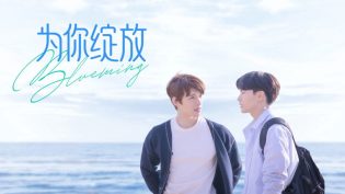 为你绽放 photo