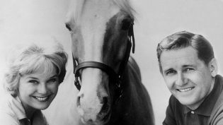 Mister Ed photo
