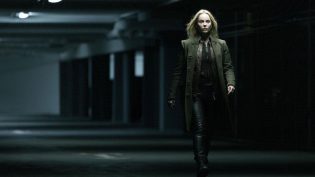 桥 photo