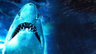 Dam Sharks! photo