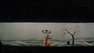 雪之丞变化 photo