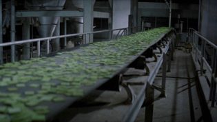 绿色食品 photo