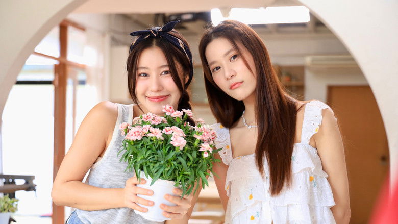冥王星爱恋 photo
