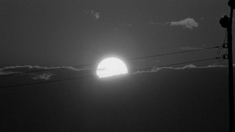 夜瘾 photo
