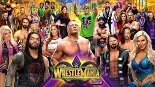 WWE 摔角狂热 34 photo