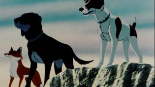 疫病犬 photo