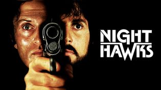 夜鹰 photo