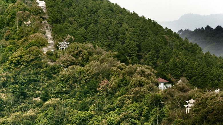 春江水暖 photo