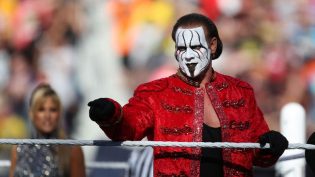 WWE 摔角狂热 31 photo