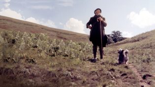 绿野小英雄 photo