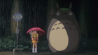 龙猫 photo