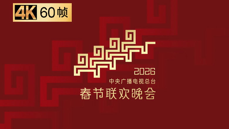 中央广播电视总台春节联欢晚会 photo