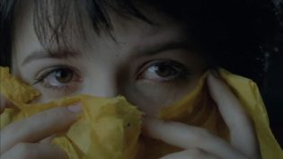 坏血 photo