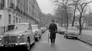 仆人 photo