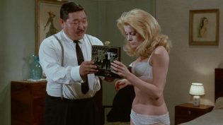 白日美人 photo
