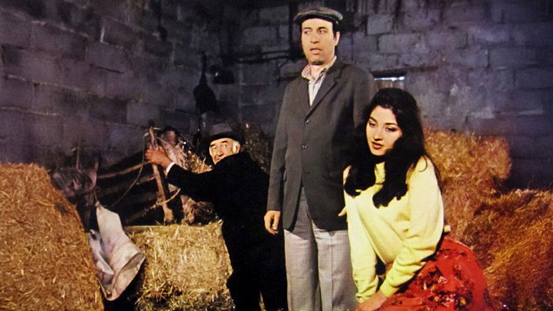 Tokatçı photo