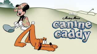 Canine Caddy photo