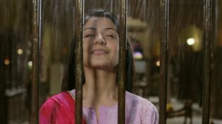 天生一对 photo