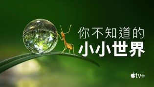 Tiny World photo