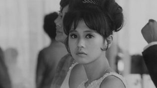 干花 photo