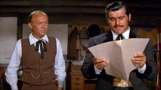 阿帕奇黄金 photo