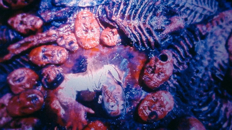 死者回归 photo