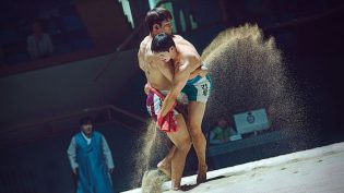 沙之花也有春天 photo