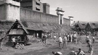 鼠王 photo