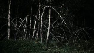 反基督者 photo