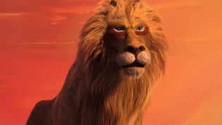 Lion photo