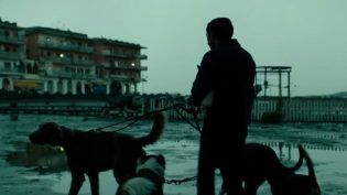 犬舍惊魂 photo