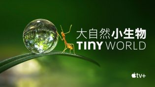 Tiny World photo