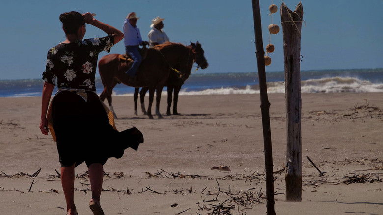 Estoy todo lo iguana que se puede photo
