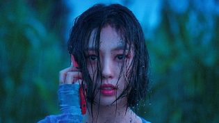 无声蛙鸣 photo