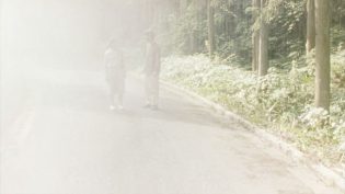 萌之朱雀 photo