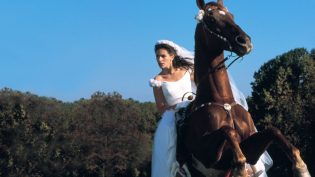 Runaway Bride photo