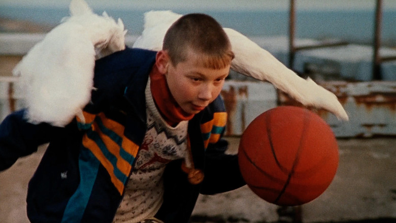 永远的莉莉亚 photo