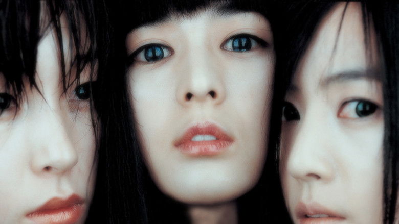 人形师 photo