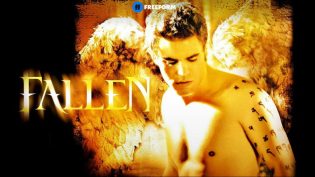 Fallen photo