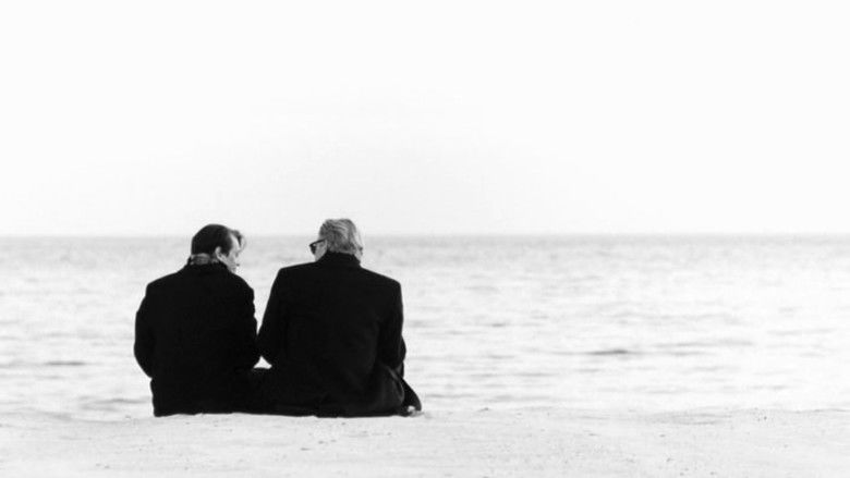 进退两难 photo
