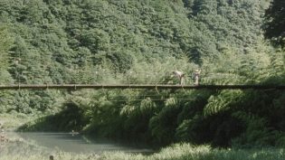 萌之朱雀 photo