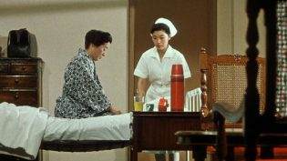 彼岸花 photo