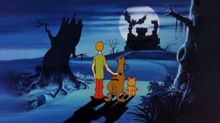 The New Scooby and Scrappy-Doo Show photo